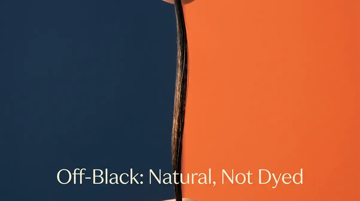 Close-up of 1B off-black hair strand showing subtle warm brown undertones in natural light