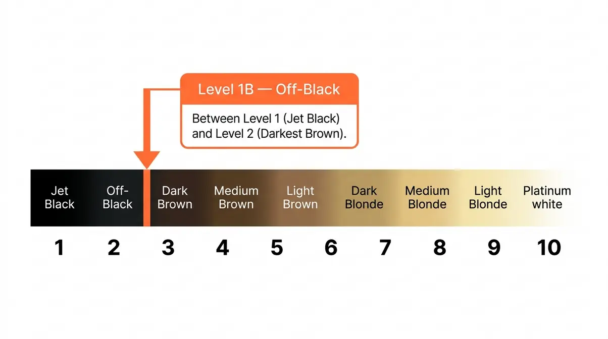 Hair color level scale diagram showing 1B off-black position between level 1 jet black and level 2 dark brown