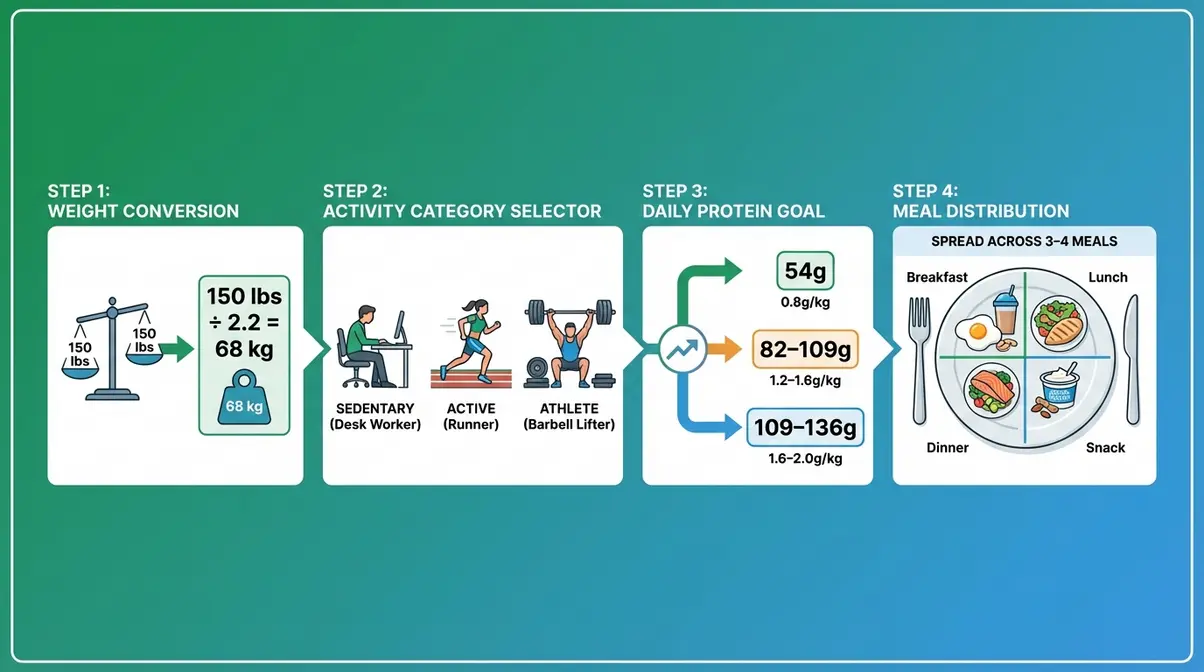 Four-step protein baseline calculation diagram showing weight conversion and activity multipliers for daily protein targets