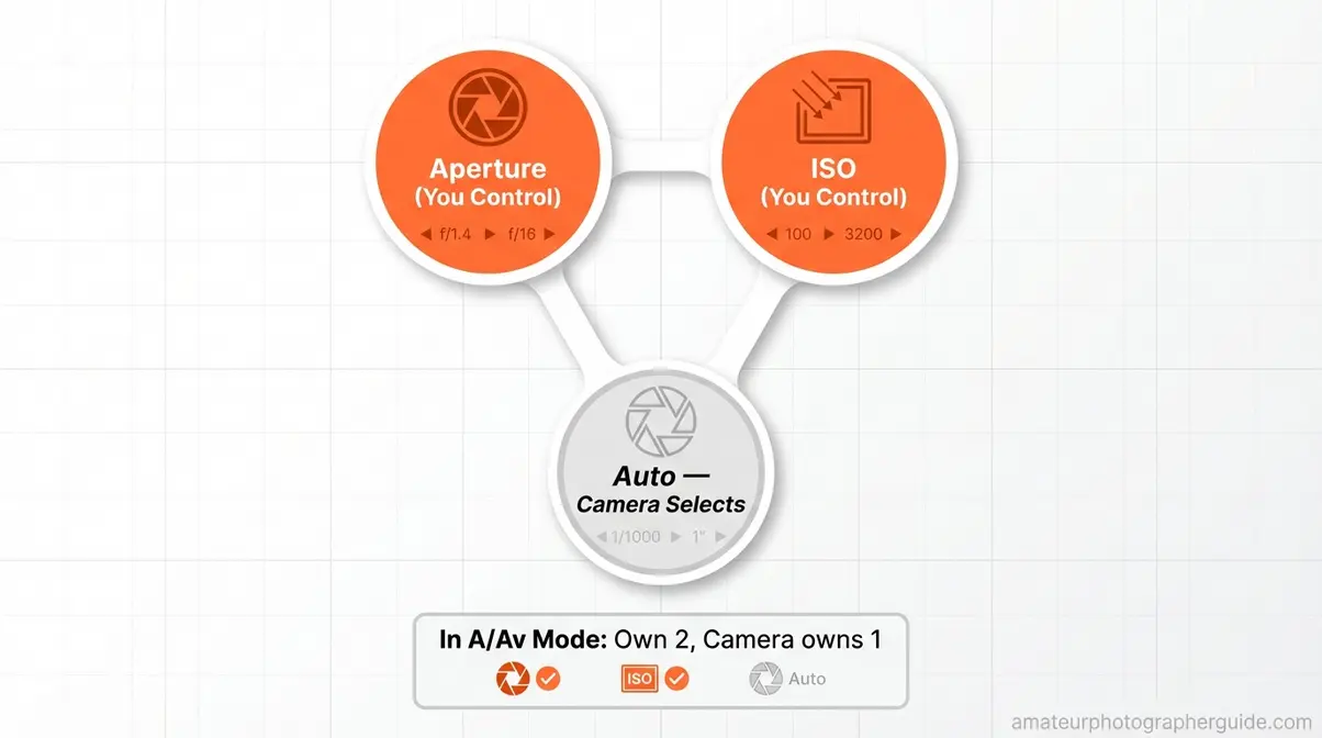 Exposure triangle infographic showing aperture and ISO controlled by photographer, shutter speed set automatically in aperture priority mode