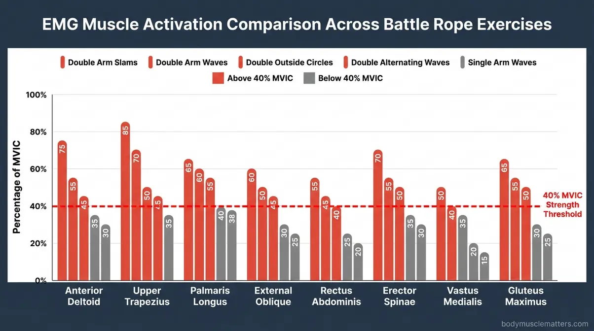 EMG bar chart showing battle rope workout muscles worked intensity across 5 exercises versus 40% MVIC strength threshold