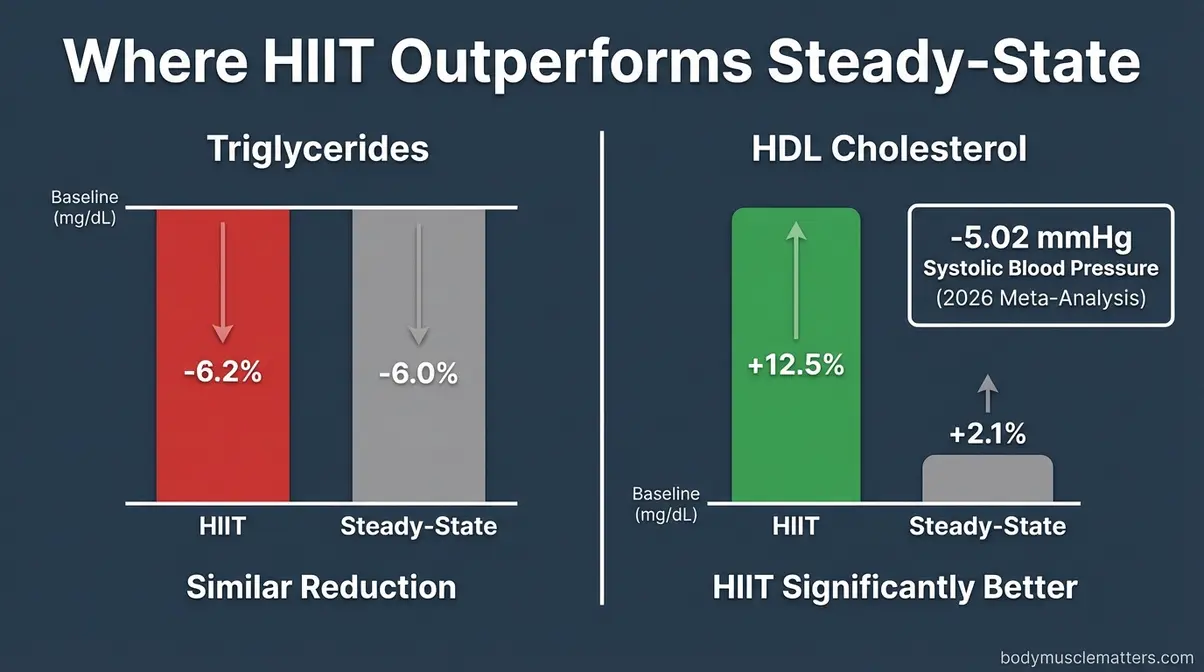 Bar chart comparing HIIT versus cardio effects on triglycerides and HDL cholesterol blood markers showing HIIT advantages