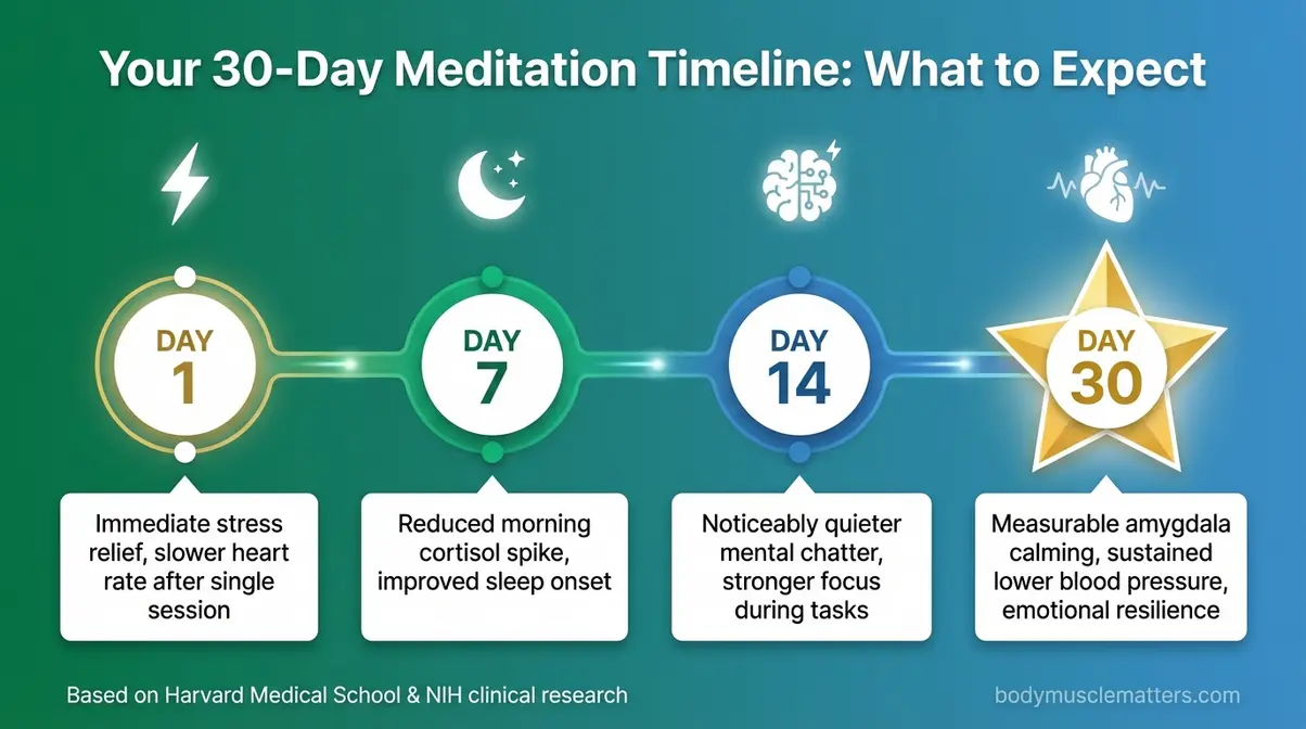 30-day meditation benefits timeline showing mental and physical improvements at days 1, 7, 14, and 30