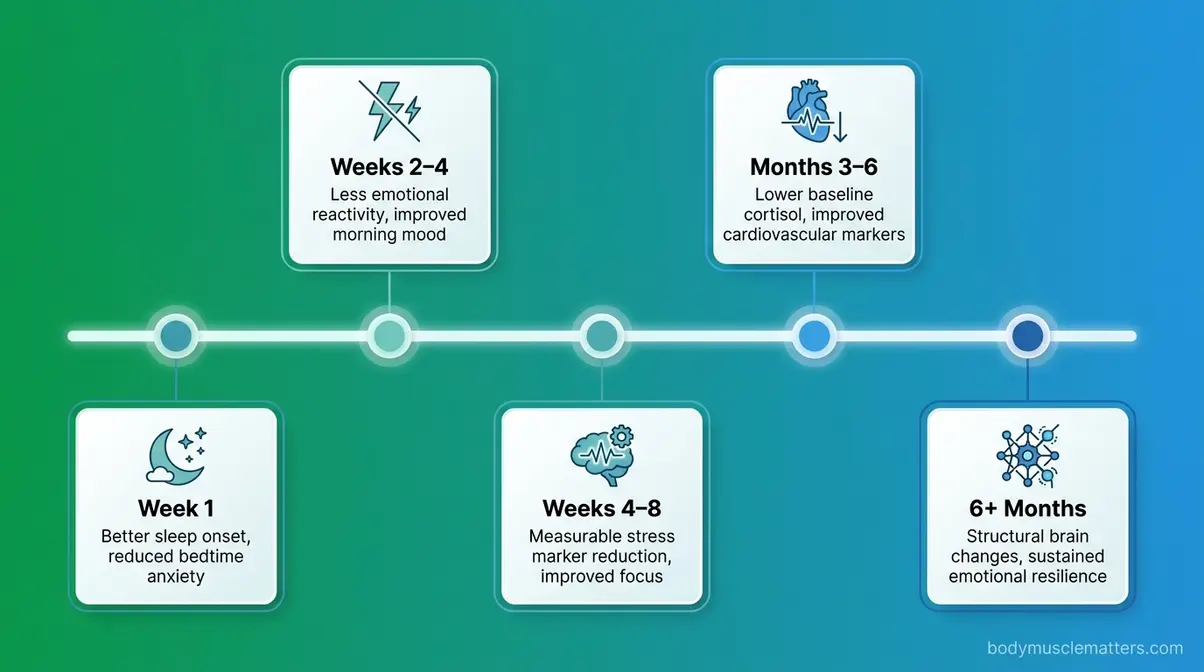 Timeline infographic showing meditation benefits progression from week one through six months for beginners