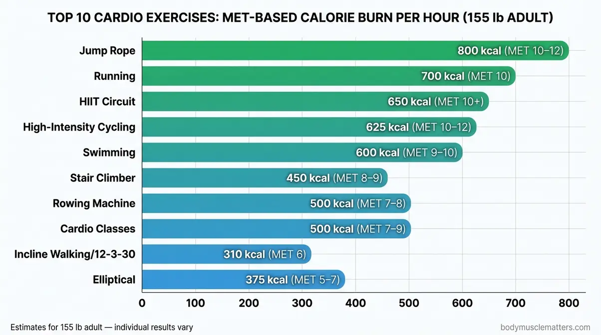 Best cardio exercises for weight loss ranked by MET calorie burn per hour for a 155 lb adult horizontal bar chart
