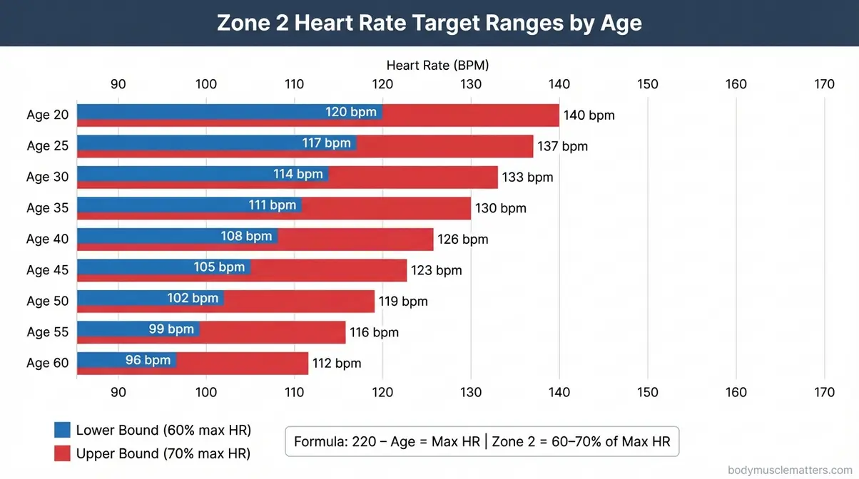 Zone 2 heart rate target chart showing beats per minute by age for muscle-preserving cardio training