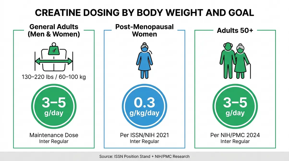 Infographic showing best creatine supplement dosing chart for muscle growth by body weight