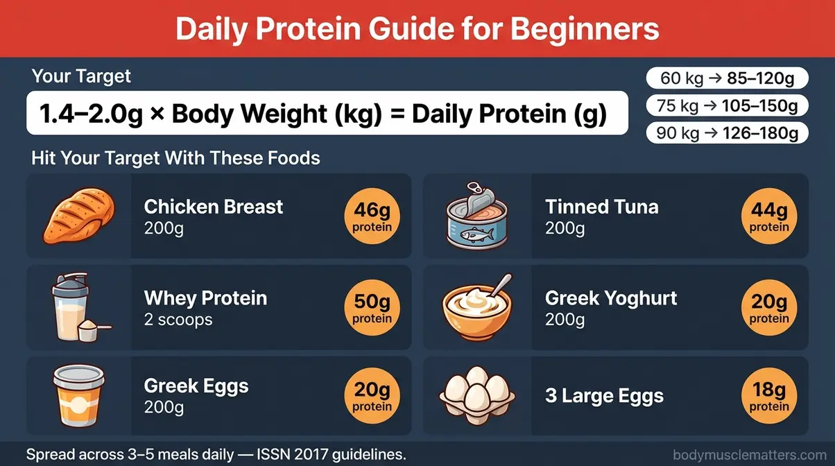 Protein targets and food sources guide for beginners following a muscle building programme