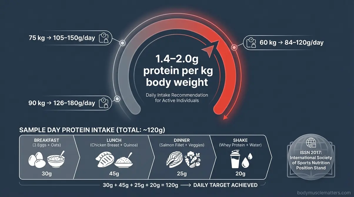 Protein target dial showing 1.4 to 2.0 grams per kilogram body weight daily recommendation for beginner muscle building
