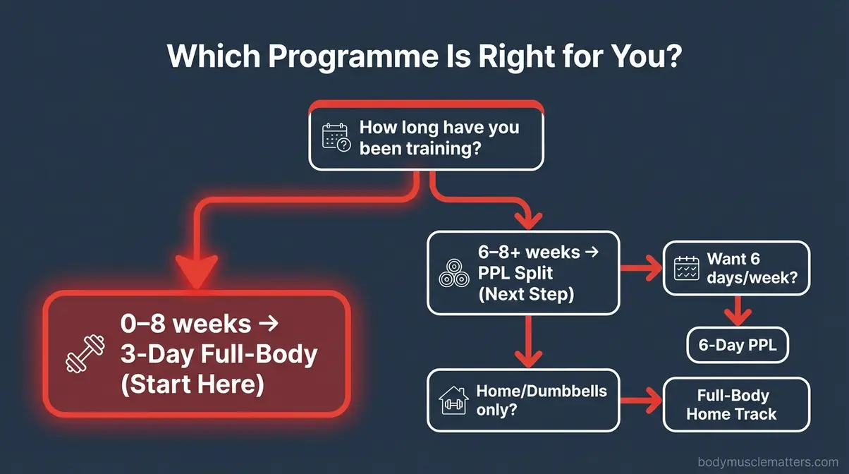Decision flowchart helping beginners choose between a full-body workout plan and the PPL split programme