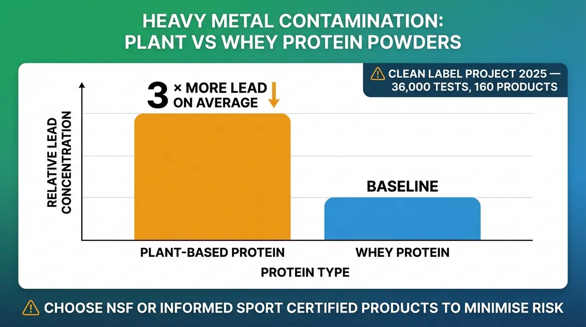 Heavy metal contamination comparison chart showing plant protein powders carry three times more lead than whey protein UK safety guide