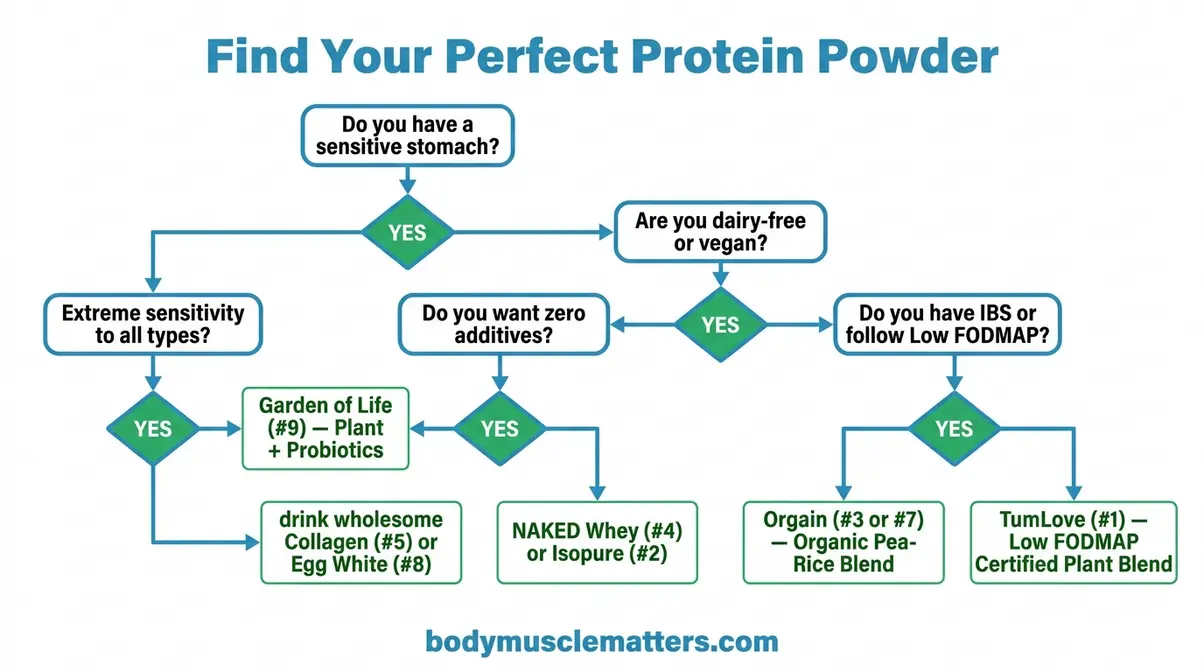 Flowchart decision tree helping sensitive stomach users choose between whey isolate, Low FODMAP plant blend, collagen, and egg white protein powder