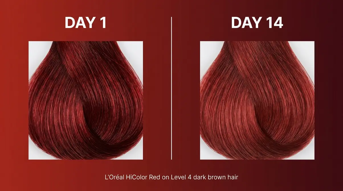 Before and after comparison of best red hair dye L'Oréal HiColor on dark brown hair showing Day 1 and Day 14 results