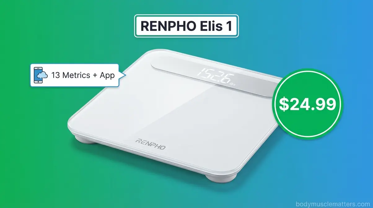 RENPHO Elis 1 budget smart scale tracking 13 body composition metrics via Bluetooth app for under $25