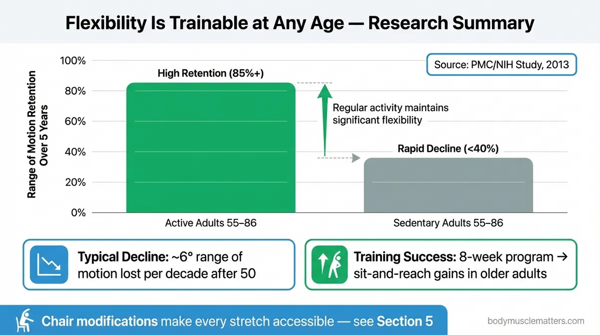 Chart showing adults aged 55 to 86 can improve range of motion with consistent stretching programs versus sedentary peers