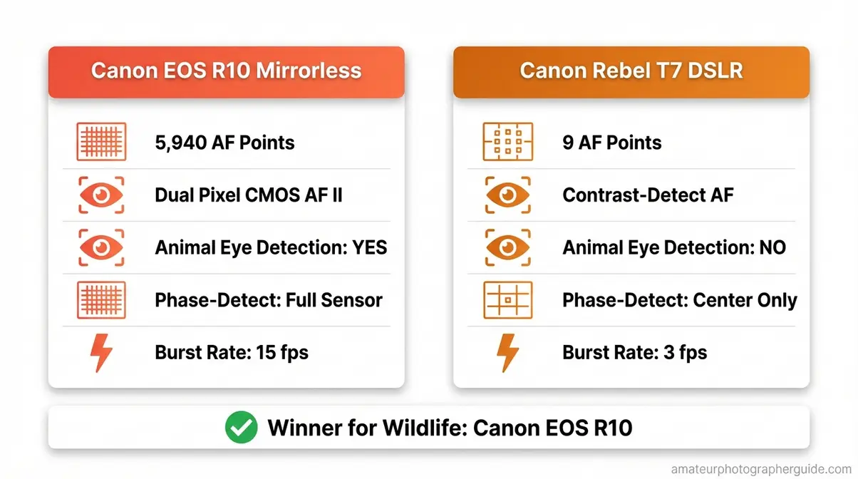 Canon EOS R10 vs Rebel T7 autofocus comparison infographic for wildlife photography camera selection