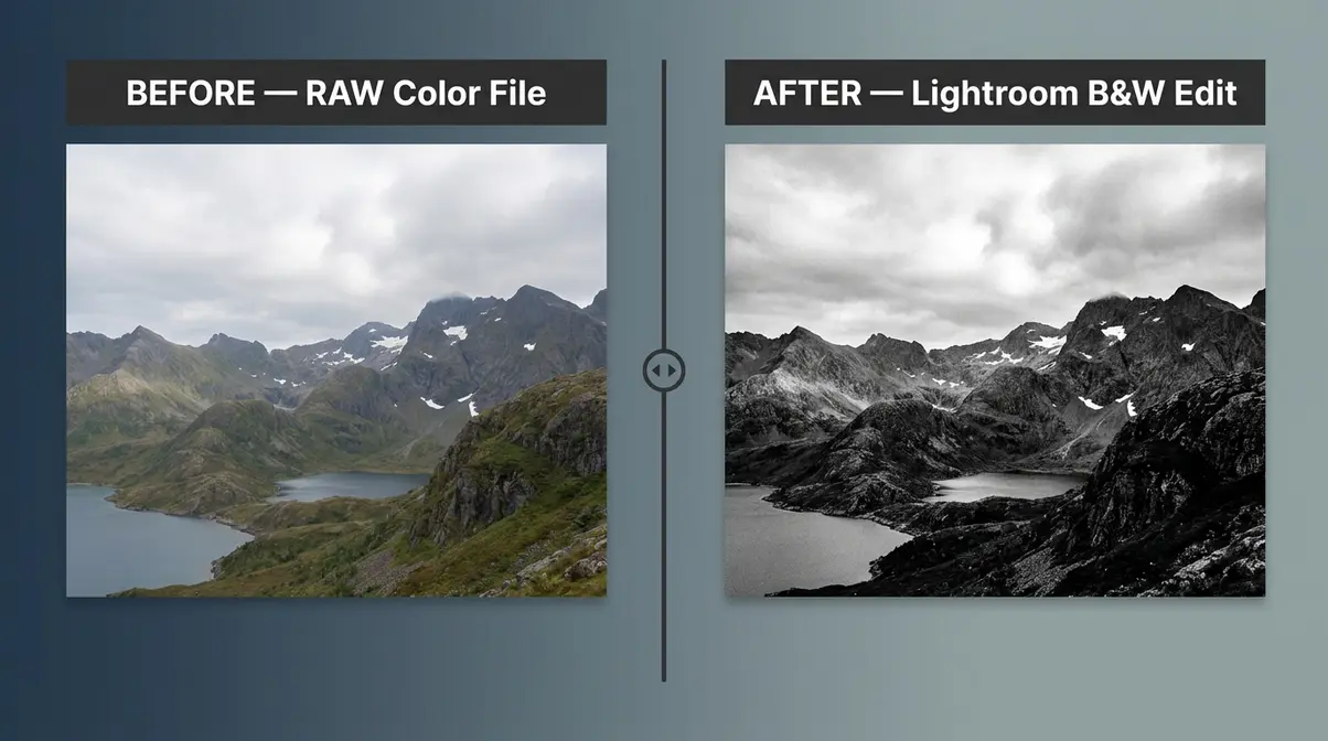 Before and after Lightroom black and white conversion showing complete editing workflow result