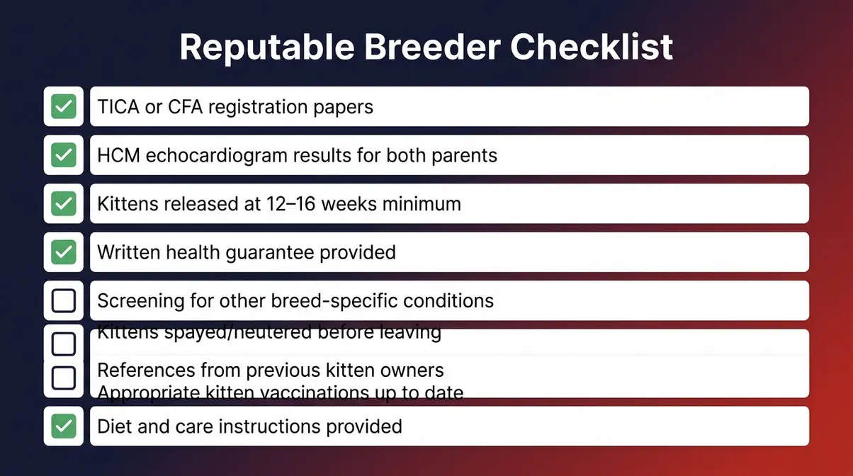 Black Maine Coon reputable breeder checklist showing ten health testing and socialization verification questions