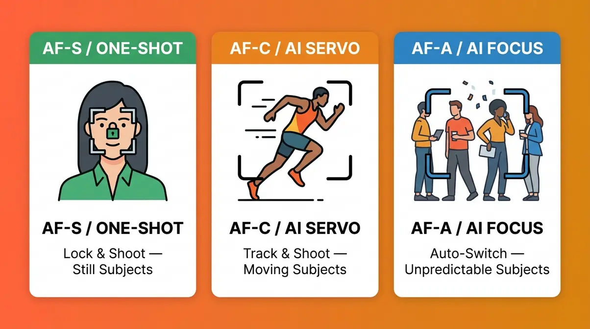 Autofocus modes comparison AF-S single AF-C continuous AF-A automatic three panel guide