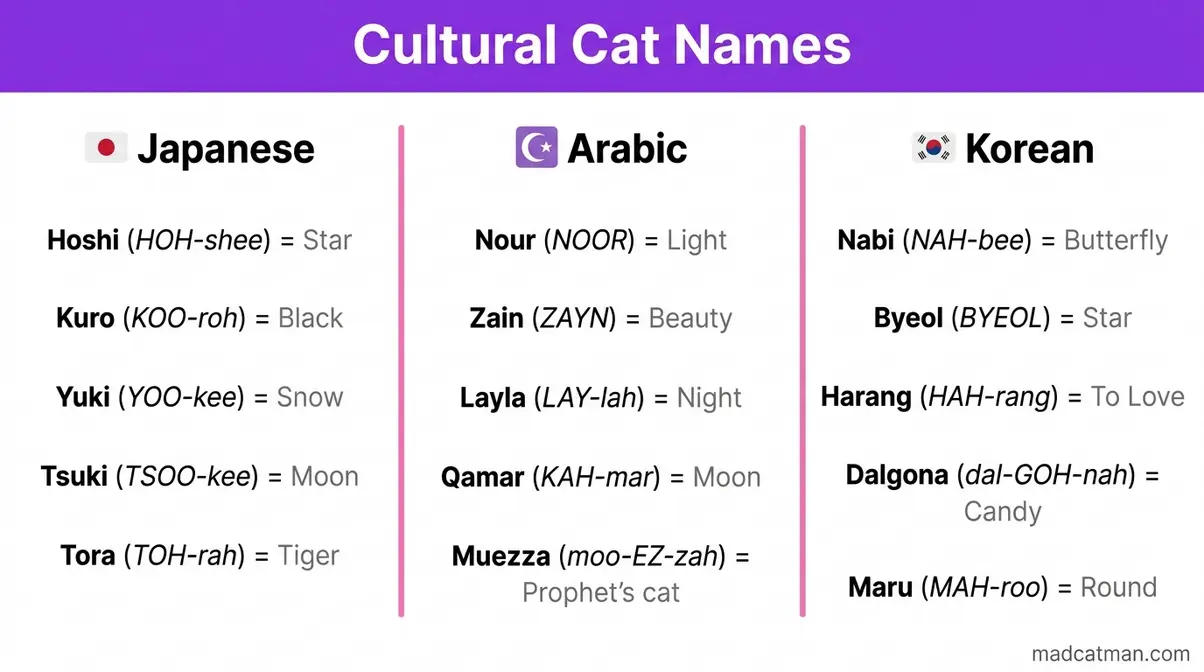 Cultural cat names infographic showing Japanese, Arabic, and Korean names with pronunciation guides and meanings for cat owners