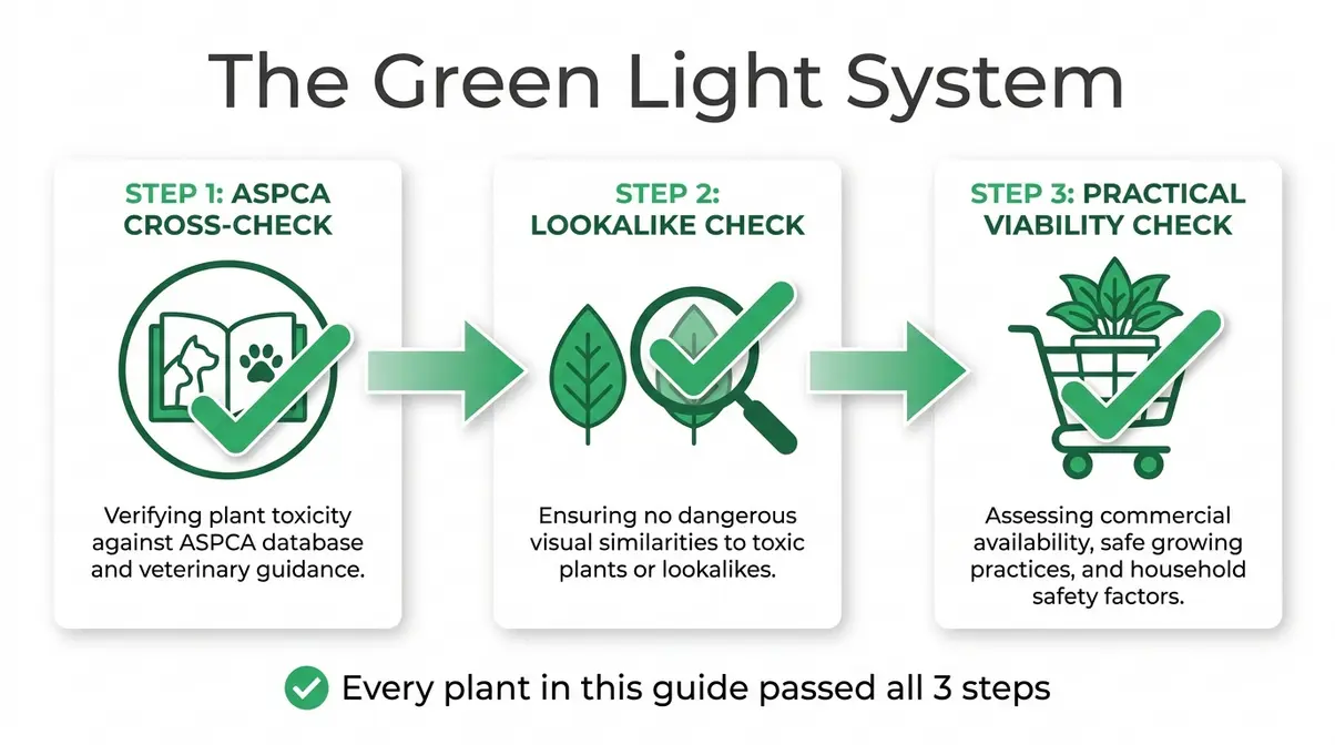 Infographic showing The Green Light System three-step cat safe plants verification process