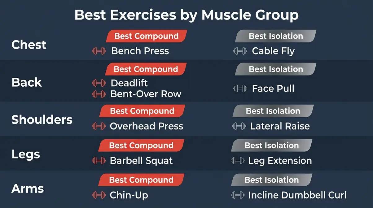 Infographic grid showing best compound and isolation exercises for chest back shoulders legs and arms