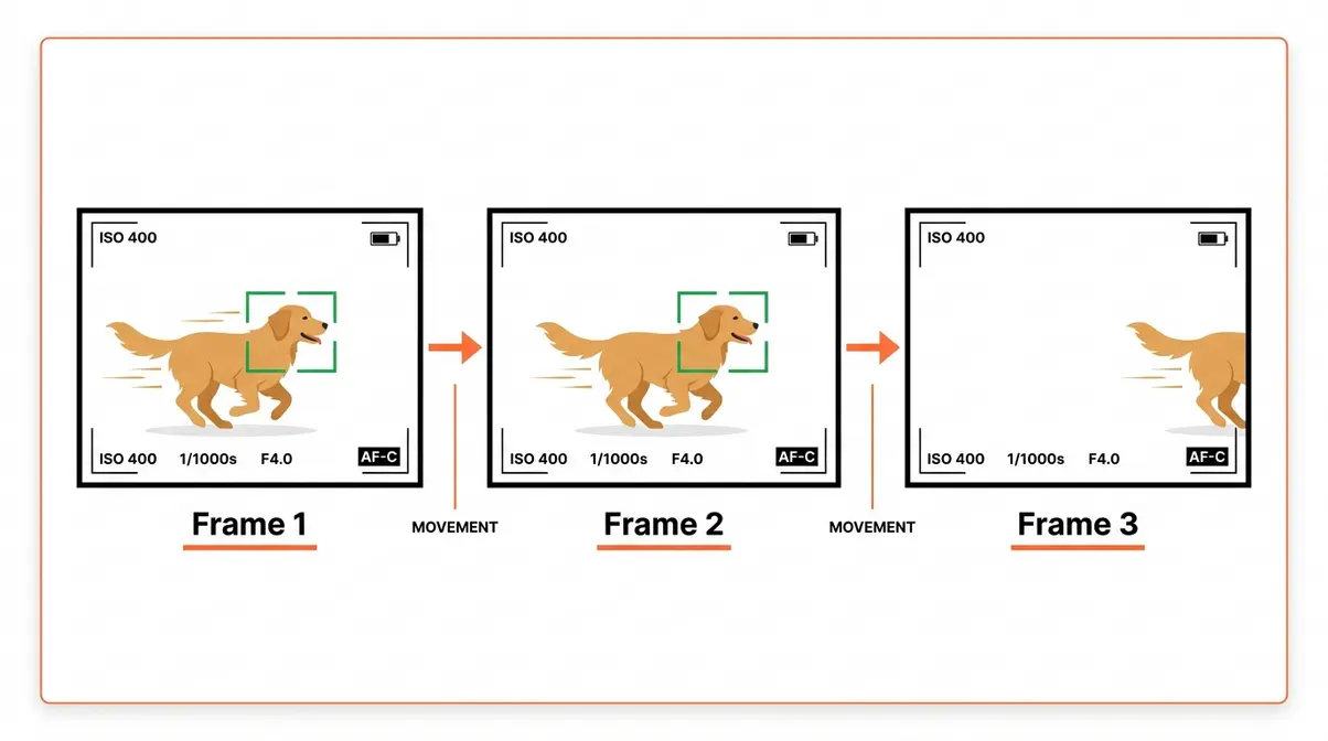 Continuous autofocus tracking diagram showing focus point following a moving dog across three frames