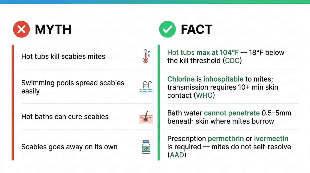 Do Hot Tubs Kill Scabies? A Medical Expert Explains 7 Scabies myth versus fact infographic comparing hot tub myths against CDC and AAD medical evidence
