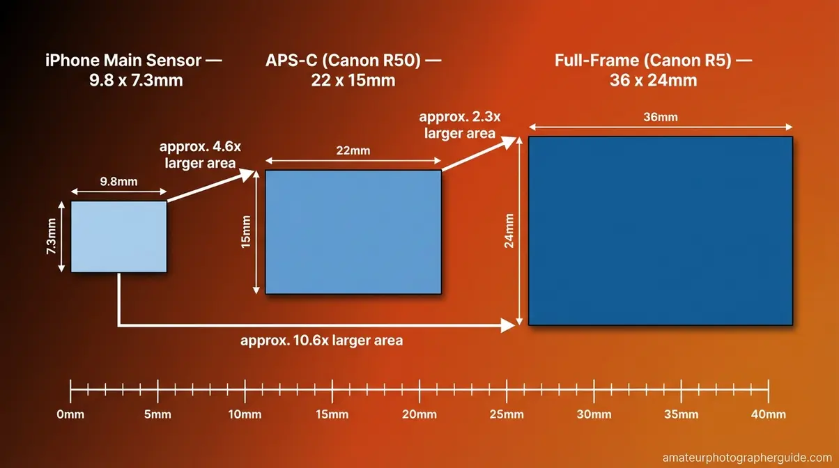 DSLR vs iPhone camera sensor size comparison showing APS-C full-frame and iPhone sensor dimensions to scale