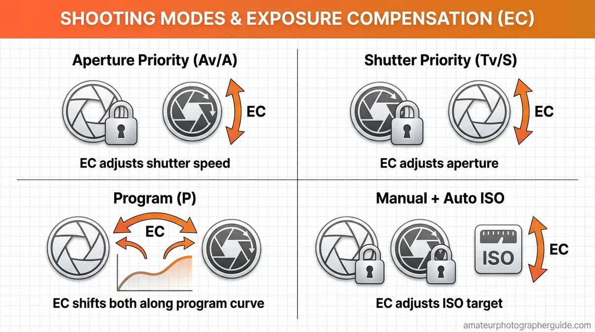 Diagram showing what exposure compensation changes in Aperture Priority, Shutter Priority, Program, and Manual with Auto ISO modes