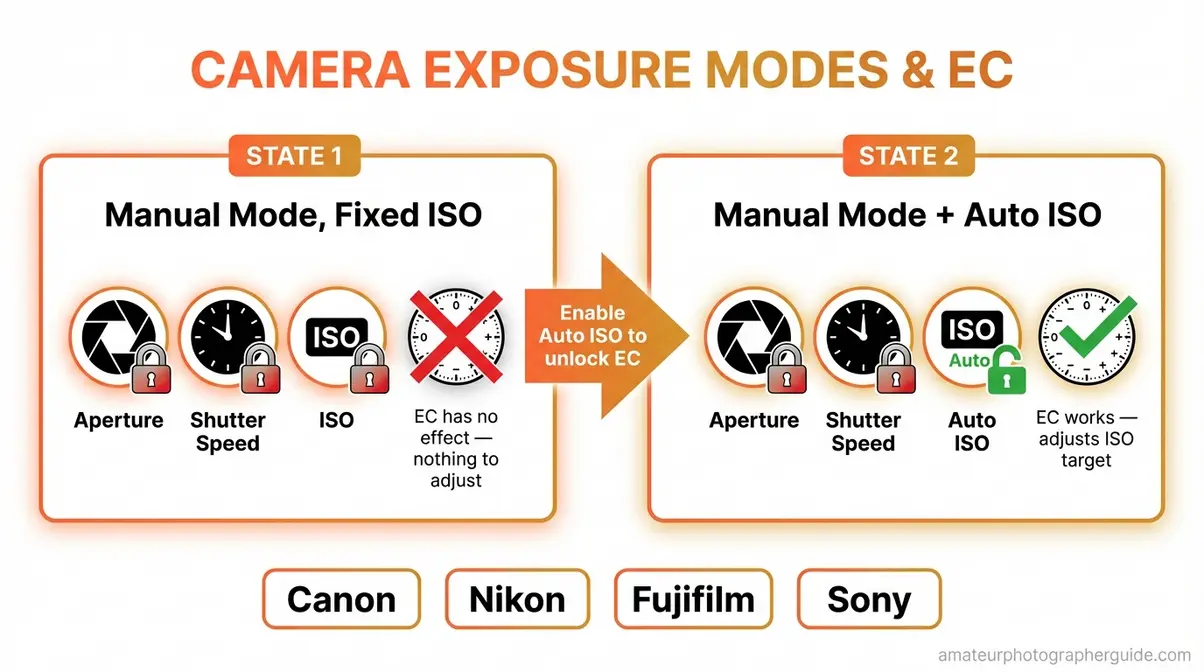 Diagram explaining why exposure compensation does not work in Manual mode with fixed ISO but does work with Auto ISO enabled