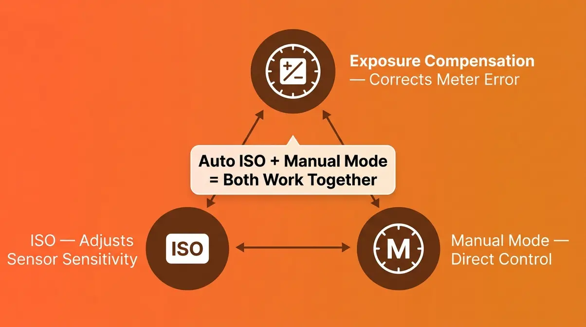 Diagram showing how exposure compensation ISO and manual mode interact in camera exposure control