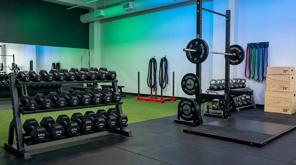 Free weights and functional gym equipment including dumbbells barbells kettlebells resistance bands and battle ropes