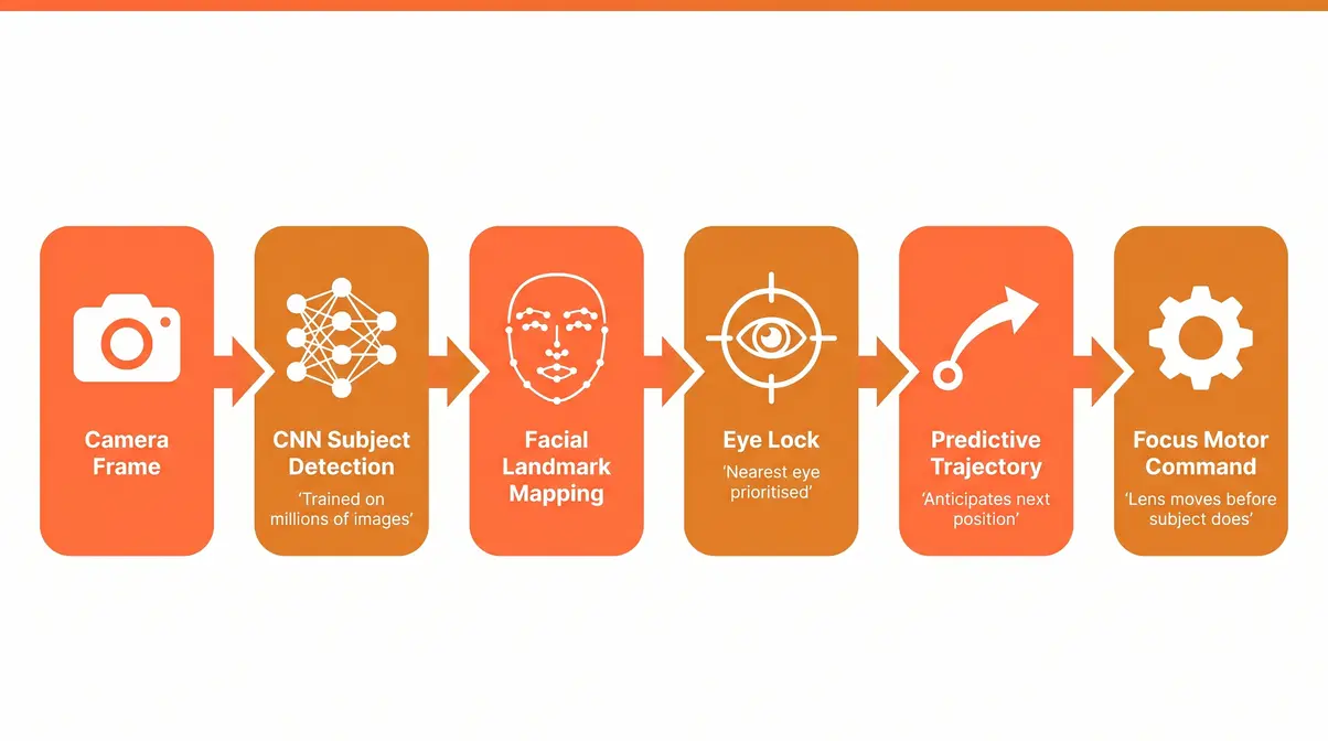 How AI Eye AF autofocus deep learning works diagram