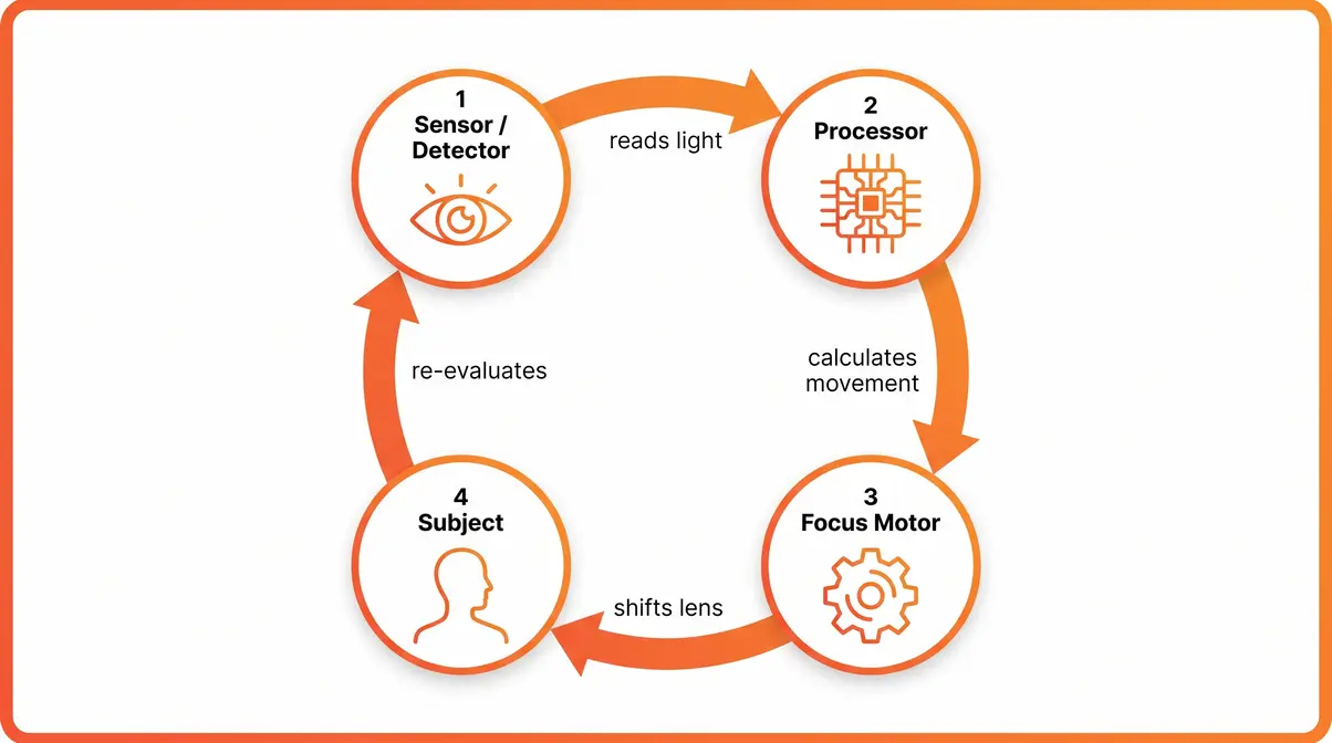 Diagram showing how autofocus works with sensor processor and motor loop