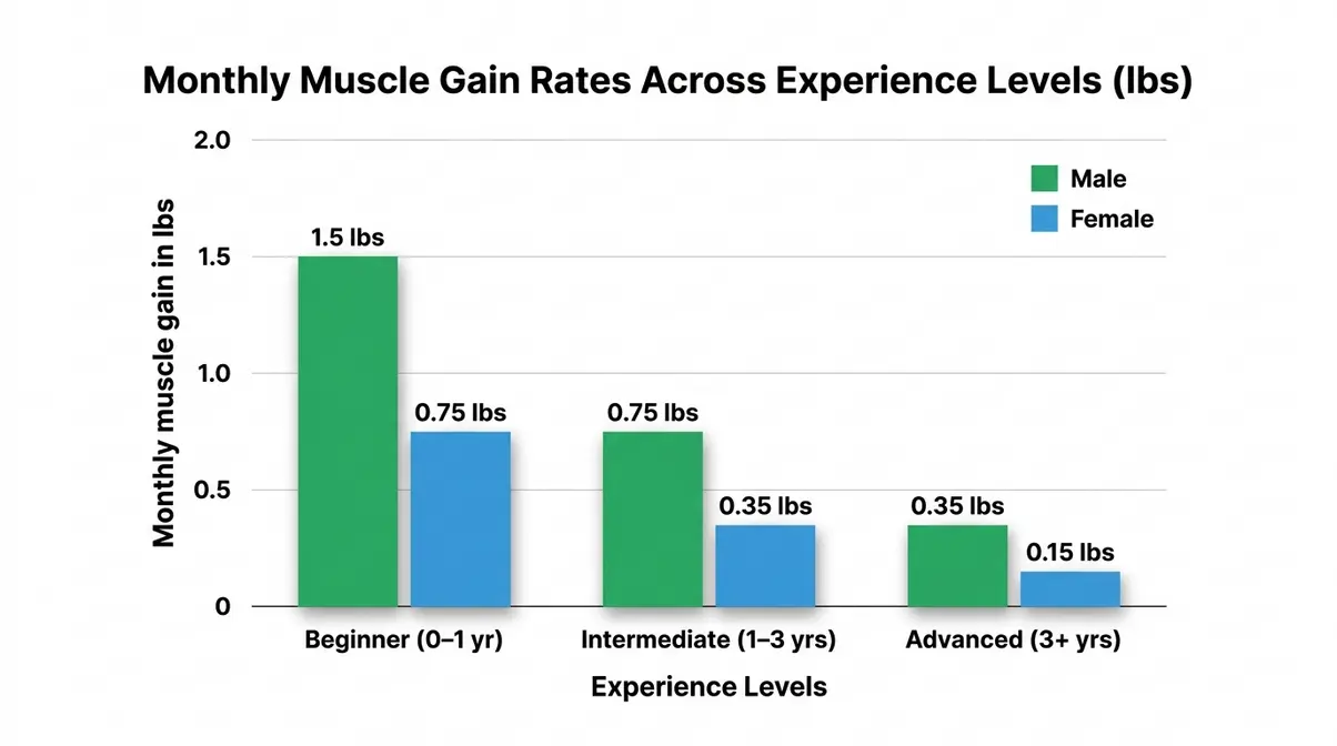 Bar chart comparing monthly muscle gain rates for beginner, intermediate, and advanced lifters showing how long to build muscle