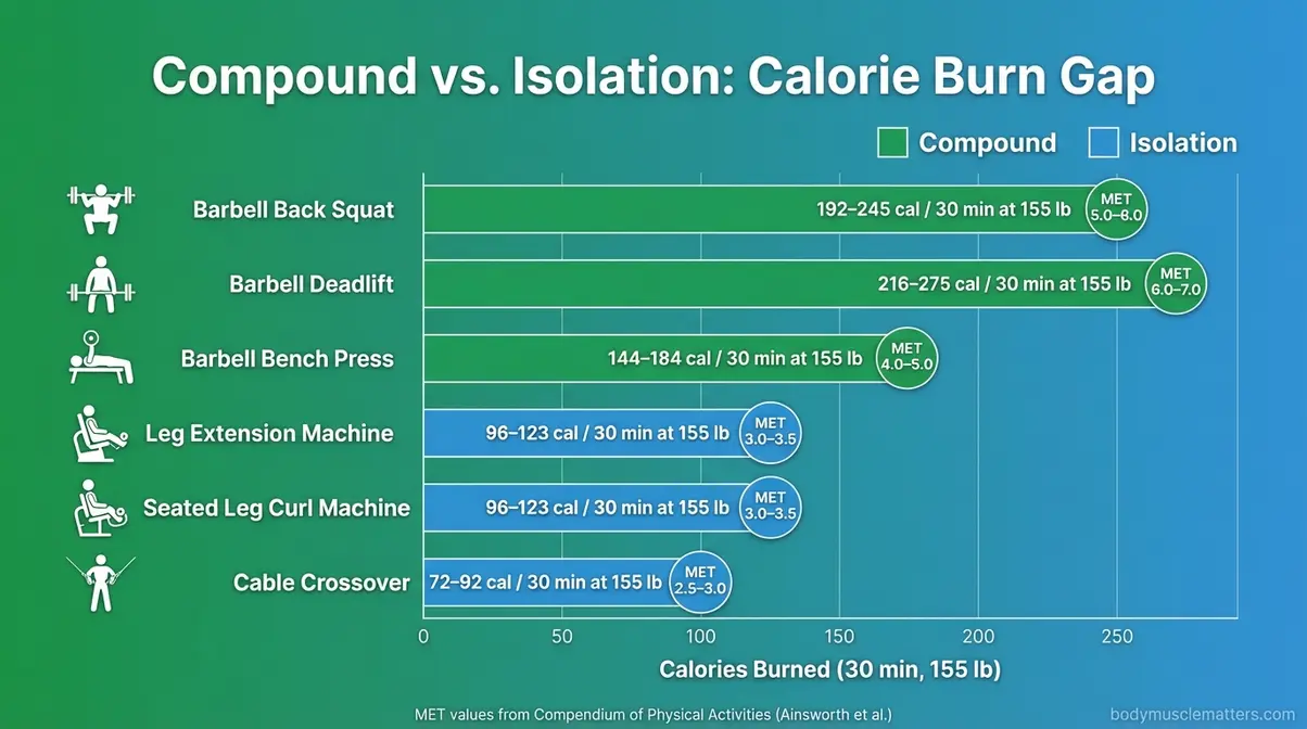 Chart comparing calorie burn of compound weight lifting exercises versus isolation machines using MET values