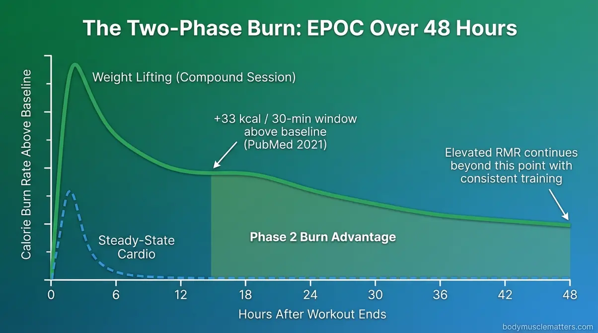 Diagram showing EPOC calorie burn decay curve over 48 hours comparing weightlifting versus cardio afterburn effect