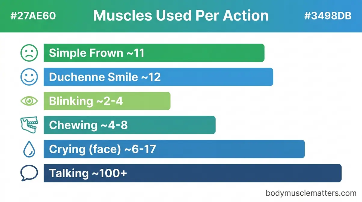 Bar chart comparing number of muscles used for frowning smiling blinking chewing crying and talking