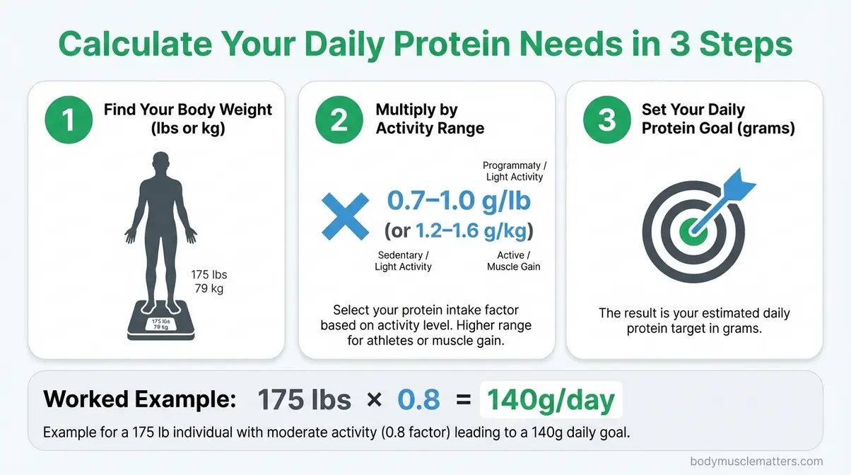 Infographic showing three steps to calculate daily protein needs for muscle gain using body weight formula