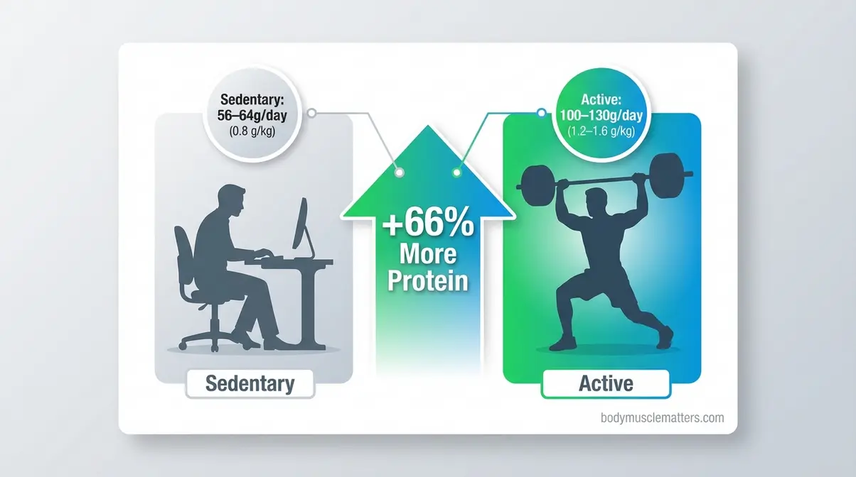 Comparison showing sedentary man needs 56 grams protein daily versus active man needing up to 130 grams per day