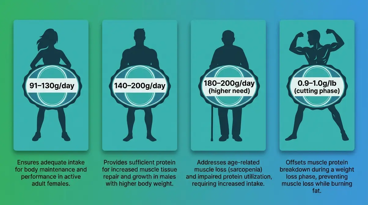 Comparison infographic showing daily protein needs by body weight, gender, age, and fitness goal for muscle building