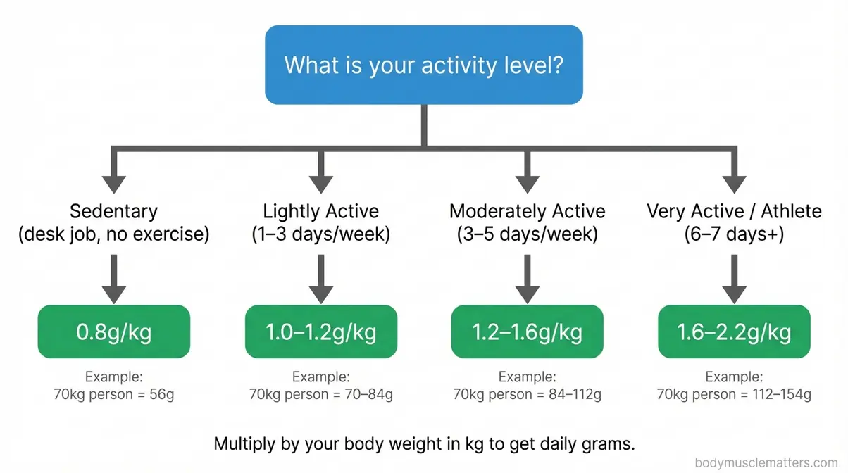 Flowchart decision tree for how much protein per day to eat based on activity level — sedentary, active, athlete