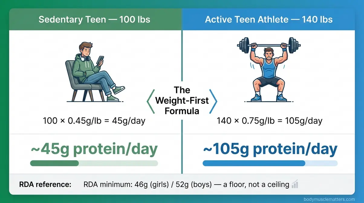 Athlete versus sedentary teenager protein needs comparison using weight-first formula