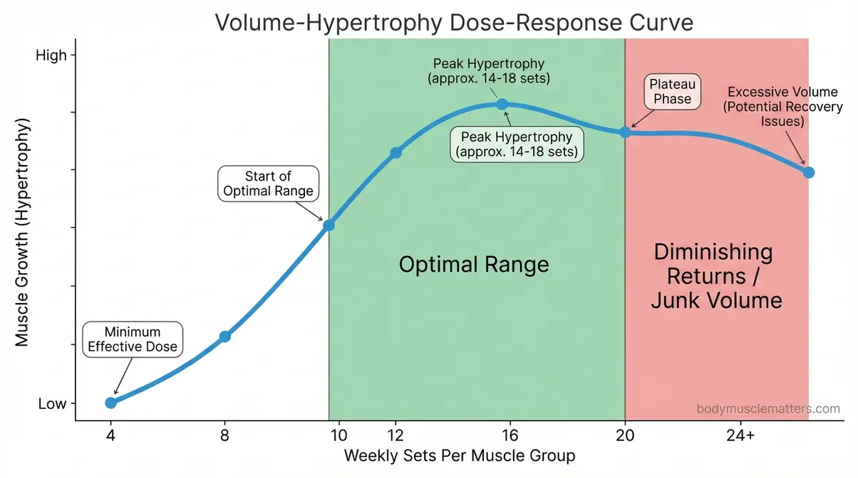 Chart showing volume hypertrophy dose response curve from 4 to 20 plus weekly sets per muscle group for muscle growth