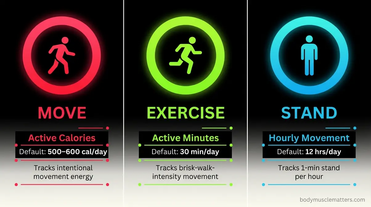 Infographic explaining three Apple Activity Rings Move red Exercise green Stand blue with default targets