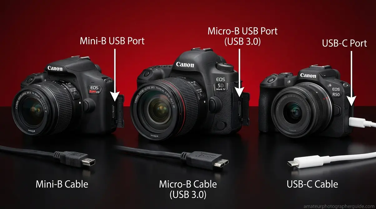 Canon Rebel T7, 5D Mark IV, and EOS R50 camera models showing their USB port types for MacBook connection