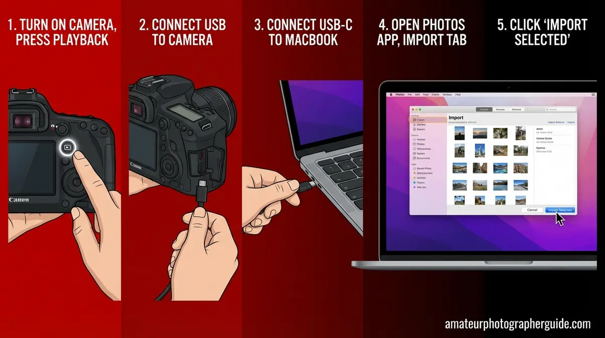 Five-step visual showing how to connect Canon camera to Mac and import photos via USB