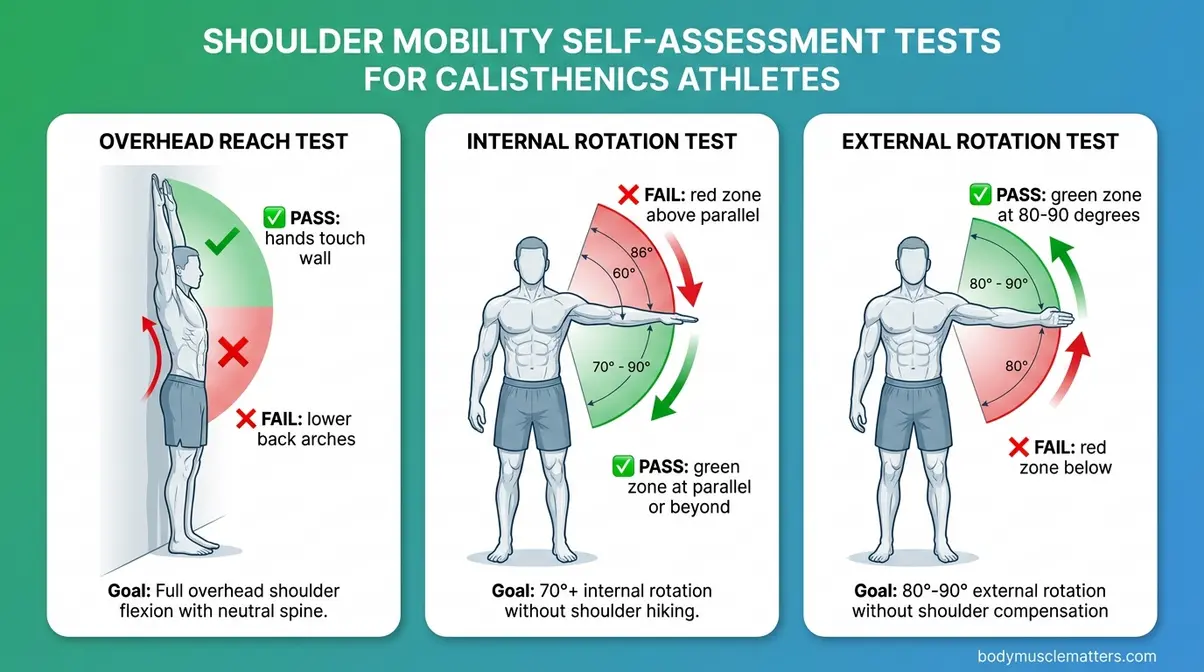 Shoulder mobility assessment tests for muscle up beginners showing pass and fail zones