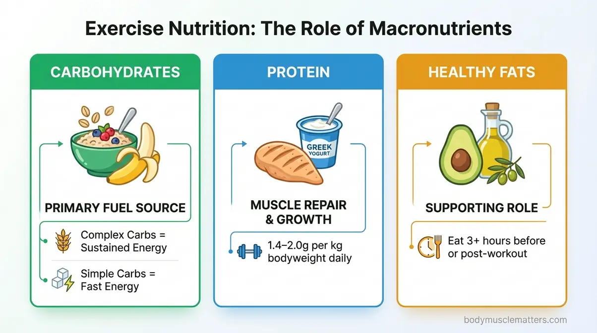 Infographic showing how carbohydrates, protein, and fats fuel your body for exercise